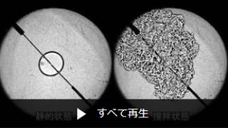 自動車・建設機器向け動画一覧