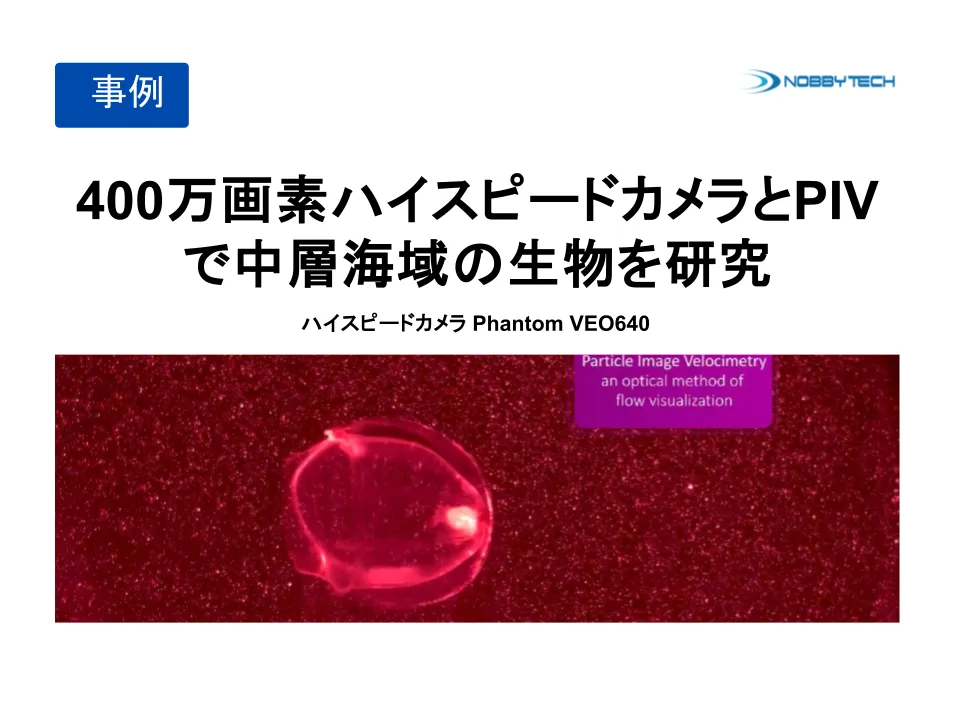 400万画素ハイスピードカメラとPIVで中層海域の生物を研究