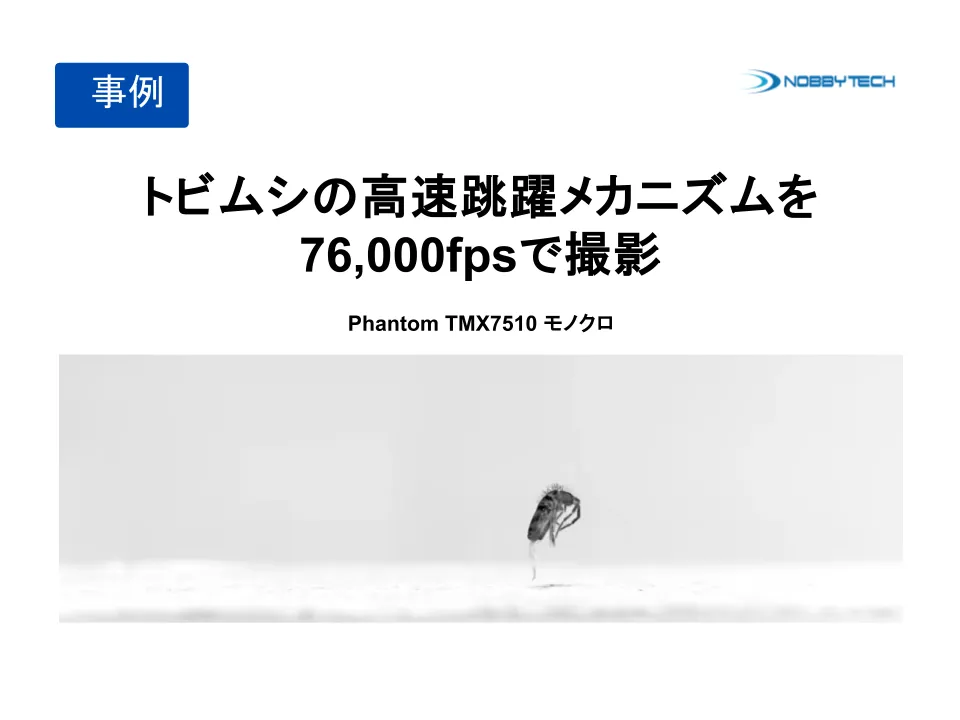 トビムシの高速跳躍メカニズムを76,000fpsで撮影