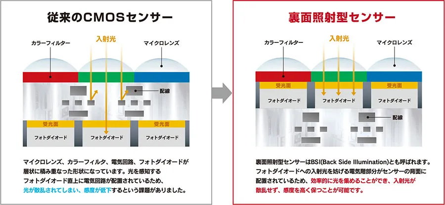 Phantom TMXは、柔軟な設定と多機能を有しており、研究者が追及する最高の映像を取得することが出来ます