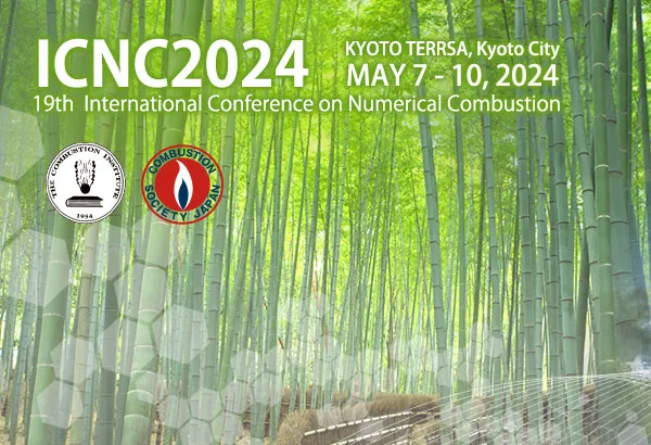 19th International Conference on Numerical Combustion(第19回国際数値燃焼会議)