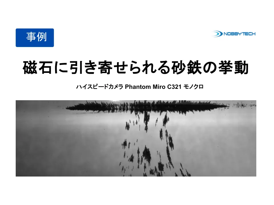 磁石に引き寄せられる砂鉄の挙動