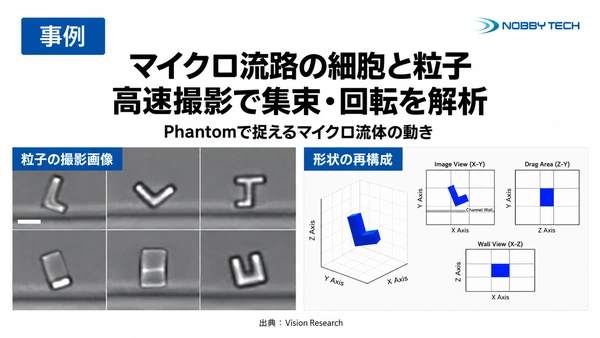 マイクロ流路内の細胞・粒子を高速撮影で解析 ― 集束と回転を捉える