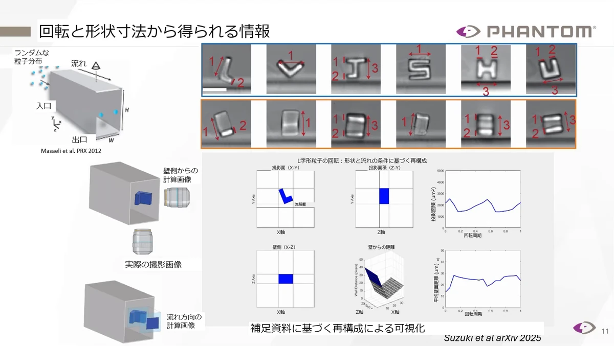 粒子の2つの姿勢から得た寸法と、壁側および流れ方向の形状再構成
