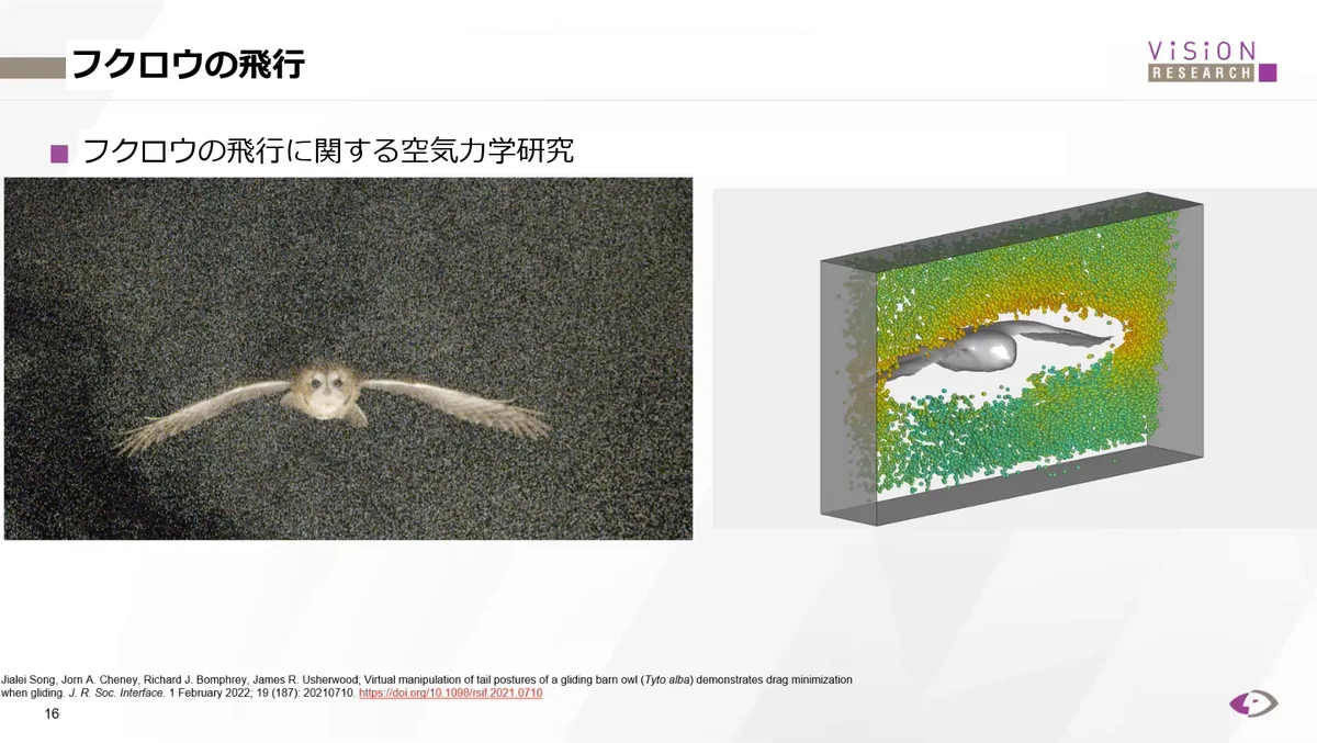 フクロウの飛行を対象とした流れの研究