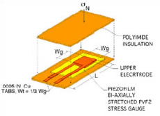 ピエゾフィルム応力計 PVDF2ゲージ