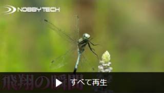 生物・科学・医療業界向け動画一覧