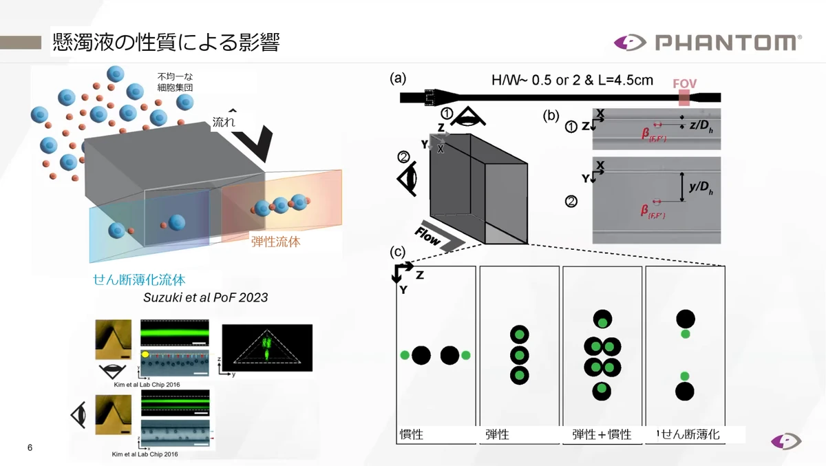 細胞を懸濁させる流体の性質と、直交する2方向からの観察を示す模式図