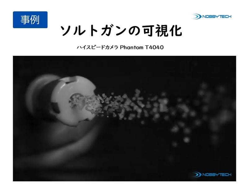 ソルトガンの可視化