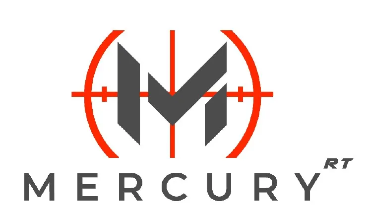 ひずみ解析ソフトウェア Mercury RT